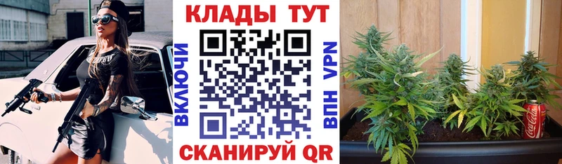 Наркошоп купить APVP  Меф мяу мяу  Кокаин  ГАШИШ  Бошки Шишки  Руза