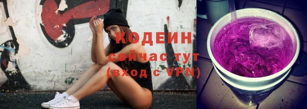 ECSTASY Горняк
