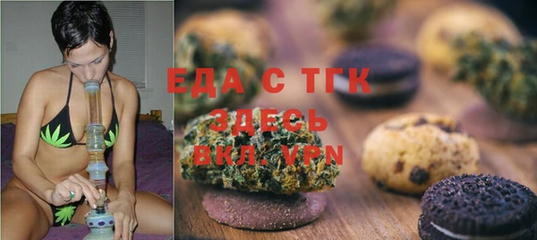 ECSTASY Горняк